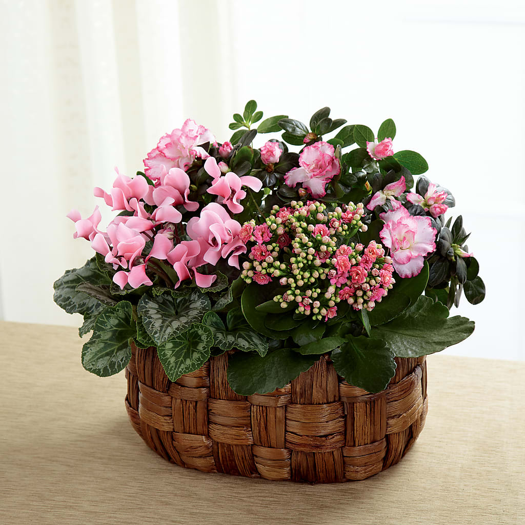 Pink Assortment – Heavenly Flowers, San Bernardino CA