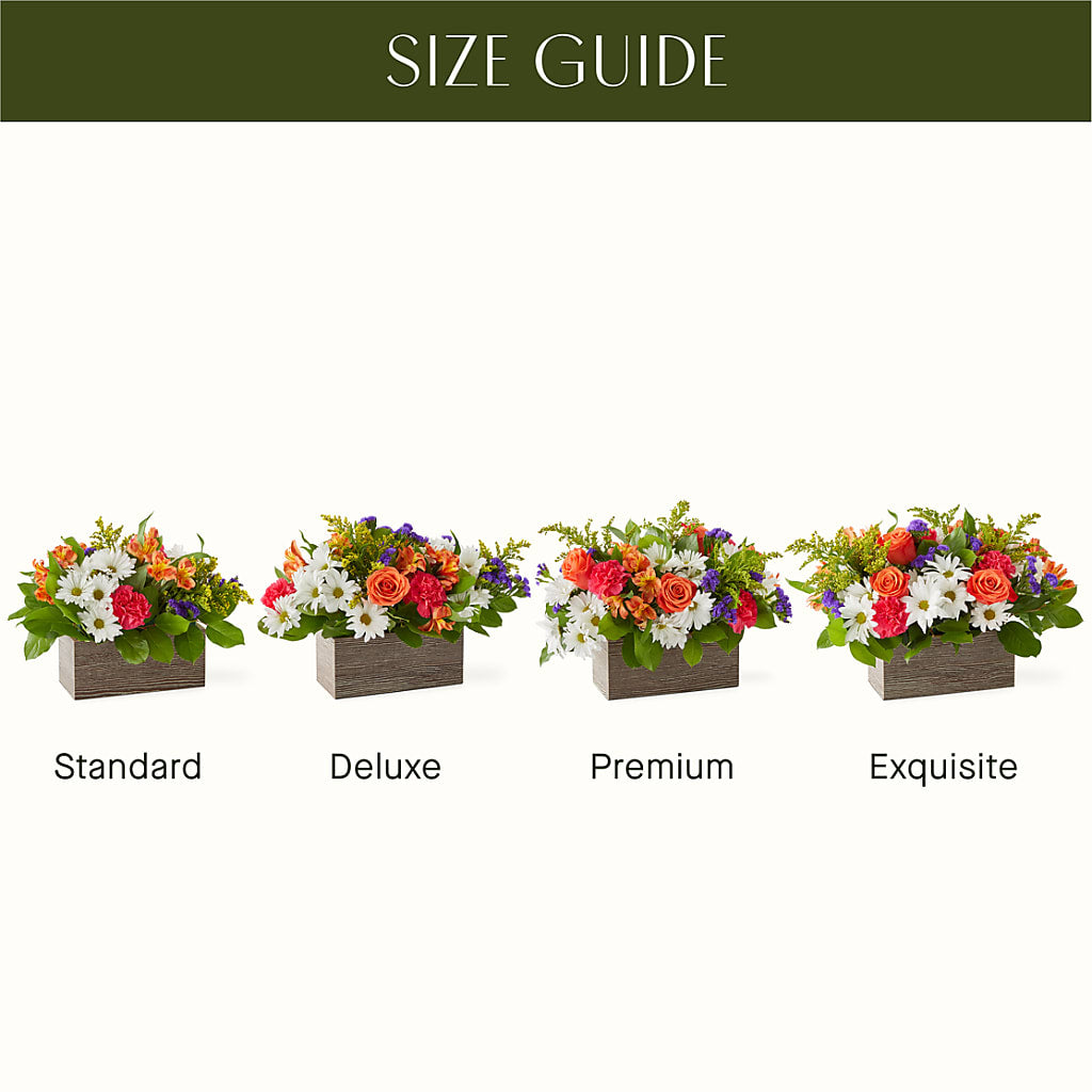 Oopsie Daisy Box Bouquet – Heavenly Flowers, San Bernardino CA