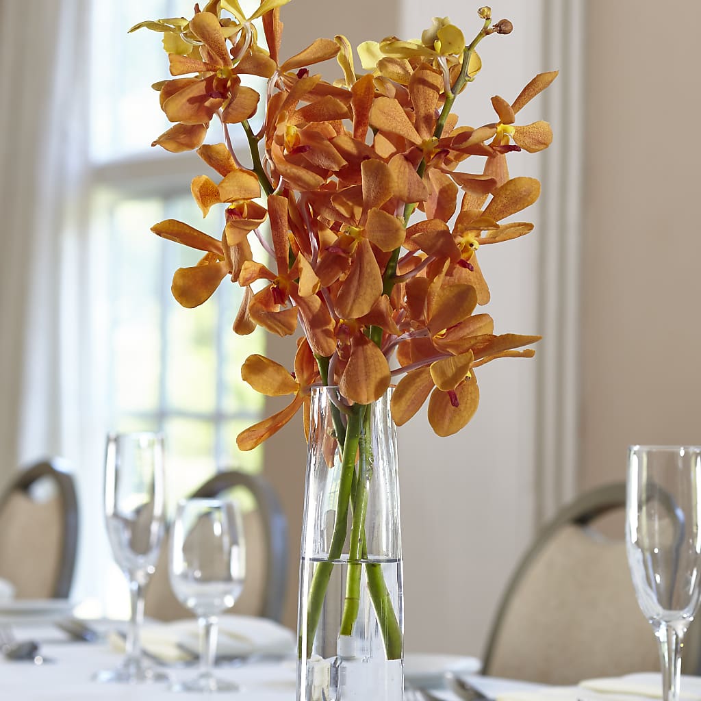 Orange Mokara Bud Vase – Heavenly Flowers, San Bernardino CA