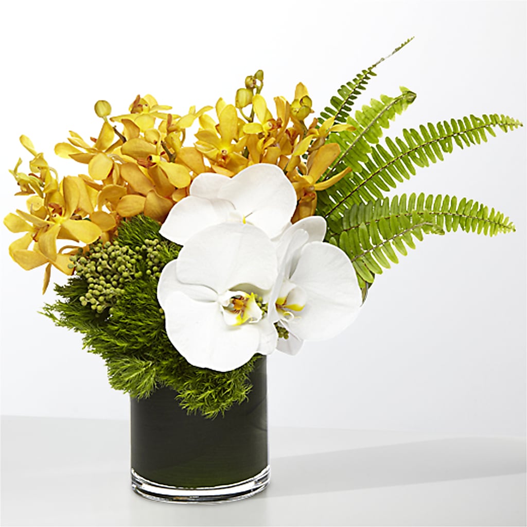 The Tropics –  Heavenly Flowers, San Bernardino CA